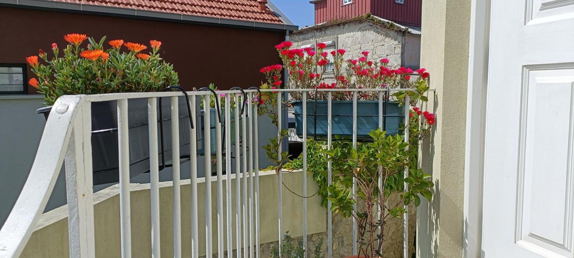 Green House / Casa Verde Порту Екстер'єр фото